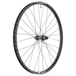 Dt-swiss Roue Arrière VTT DT Swiss M 1900 Spline 29" Shimano MS 12V
